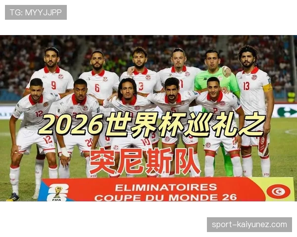 突尼斯队2026世界杯能否晋级淘汰赛